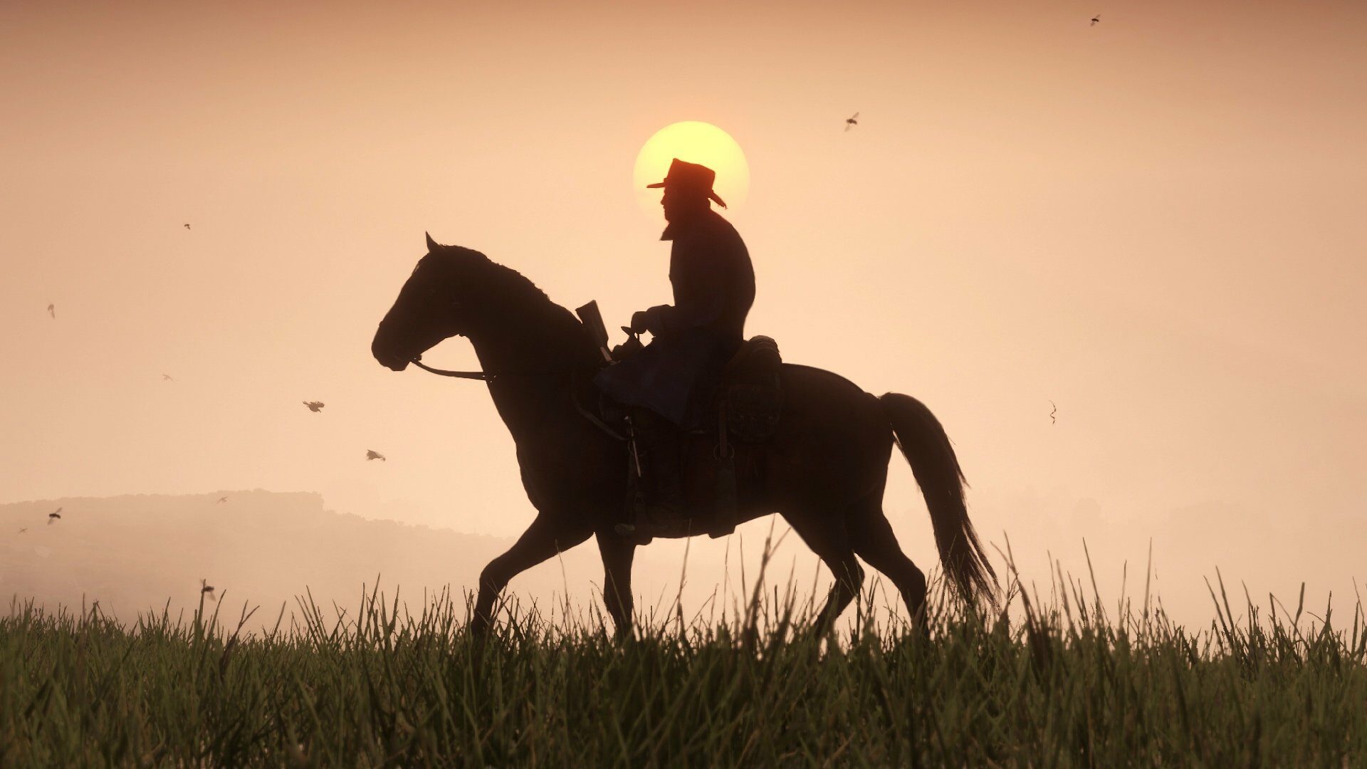 Red Dead Redemption 2 – PC-Digitalschlüssel